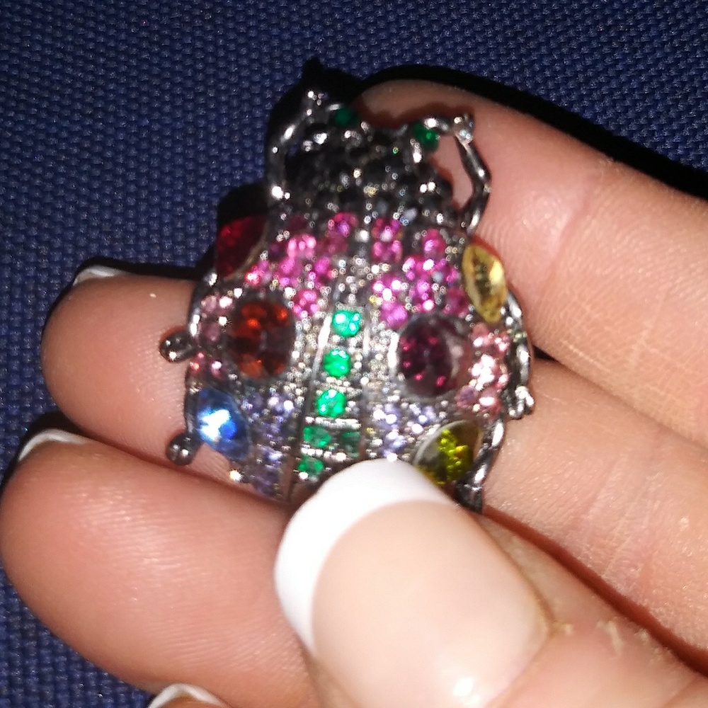 Beetle Bug Brooch Jewel Encrested